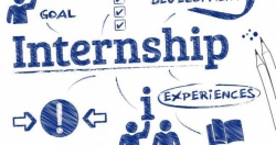 Program de internship