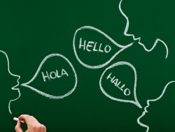 Concurs de achiziție a serviciilor de traducere simultană