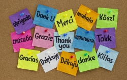 Termen extins în vederea selectării serviciilor de traducere