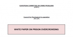 Consiliul Europei a publicat Raportul privind problema supraaglomerării închisorilor